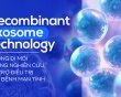 Recombinant exosome technology - Hướng đi mới trong nghiên cứu, hỗ trợ điều trị các bệnh mạn tính