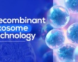 Recombinant exosome - Hướng đi mới trong nghiên cứu, hỗ trợ điều trị các bệnh mạn tính