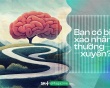 Bạn có bị xao nhãng thường xuyên?