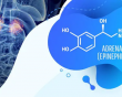 Tìm hiểu chung về loại hormone gây tăng huyết áp, tim đập nhanh