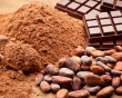 Cacao và chocolate: “Vũ khí tự nhiên” giúp bảo vệ sức khỏe