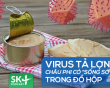 Podcast: Virus tả lợn châu Phi có “sống sót” trong đồ hộp?