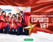 Hành trình tỏa sáng của những “bóng hồng vàng” Esports Việt