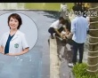 Nữ bác sĩ Bạch Mai sơ cứu kịp thời cứu sống bé trai bị đuối nước