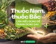 Thuốc Nam, thuốc Bắc: Cần hiểu đúng để tránh dùng sai!
