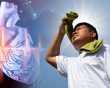 Cách bảo vệ tim mạch trong thời tiết nắng nóng