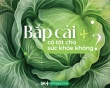 Bắp cải có tốt cho sức khỏe không?