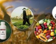 Thuốc trừ sâu có thể gây ra những ảnh hưởng gì tới sức khỏe?