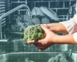 Rửa sạch thực phẩm có giúp loại bỏ hết dư lượng thuốc trừ sâu?