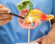 Làm thế nào để nhận ra dấu hiệu cảnh báo sỏi mật giai đoạn đầu?