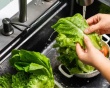 Rửa rau củ quả thế nào để loại bỏ ký sinh trùng Cyclospora?