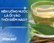 Podcast: Nên uống nước lá ổi vào thời điểm nào?