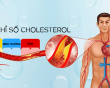 Tăng cholesterol kéo dài: Mối nguy âm thầm thúc đẩy xơ vữa động mạch