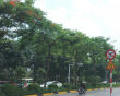 Vừa qua Lập Thu, nền nhiệt miền Bắc đã tăng nhẹ
