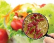 Chủ động kế hoạch giám sát mối nguy ô nhiễm thực phẩm năm 2027