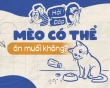 Mèo có thể ăn muối không?