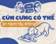 Cún cưng có thể ăn được hành tây không?