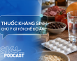 Podcast: Cần lưu ý gì tới chế độ ăn khi dùng thuốc kháng sinh?