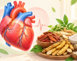 Thiếu máu cơ tim: Có nên dùng thảo dược cải thiện sức khỏe?