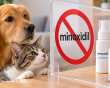 Cảnh báo nguy cơ ngộ độc ở chó, mèo khi tiếp xúc với minoxidil