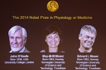 Giải Nobel y học về hệ thống GPS của não người 