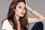  Angelina Jolie cắt buồng trứng ngừa ung thư