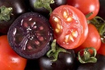 Cà chua đỏ, đen, vàng: Loại nào tốt hơn?