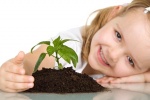 Cây cối giúp trẻ thông minh hơn