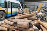 Xe Lào trở 2 tấn gỗ lậu lẫn với mỹ phẩm và đồ phụ tùng ôtô