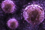 Virus HIV: Điều trị càng sớm càng có lợi