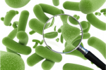 Nên bổ sung probiotics từ thực phẩm hay TPCN?