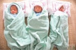 Ca sinh ba cùng trứng hiếm gặp tại Nghệ An