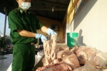 Gần 300kg nội tạng động vật bốc mùi thối đang trên đường vào Sài Gòn