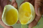 Trứng thối giúp cải thiện hệ miễn dịch