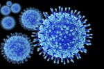 Tìm ra cách xoá sổ bệnh cảm cúm trong tương lai?