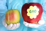 Những điều bạn chưa biết về thực phẩm biến đổi gene