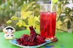 Ngăn ngừa nhiễm trùng đường tiết niệu với trà atiso đỏ - hibiscus