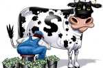 Lãi hàng nghìn tỷ đồng từ bán sữa bò
