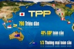 Hiệp định TPP: Cơ hội cho ngành thực phẩm chức năng (P.1)