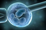 Làm IVF có nên sinh đôi, sinh ba?