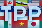 Hội nhập TPP: Doanh nghiệp TPCN Việt cần làm gì để nâng cao cạnh tranh?