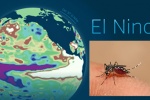 Nguy cơ lây lan dịch sốt xuất huyết vì El Nino 2015