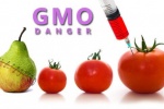 Bạn có biết những thực phẩm nào đã bị biến đổi gene?