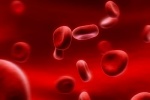 6 sự thật ít biết về máu người