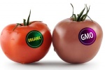 Bắt buộc ghi nhãn hàng hóa với thực phẩm biến đổi gene