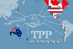 Hội nhập TPP: Ủy ban Codex phải hỗ trợ doanh nghiệp?