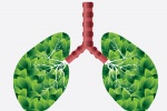 Thảo mộc cho người bệnh COPD dễ thở