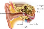 Phẫu thuật cấy ốc tai và những điều cần biết