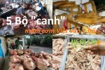 Mâm cơm Việt: 5 Bộ 