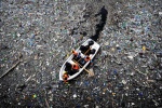 5 tỷ tấn nhựa rác thải đang 